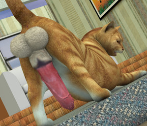 animal_genitalia balls digitigrade erection feral genitals hyper looking_at_viewer male penile_spines penis quadruped realistic_feral sheath small_but_hung solo tail what_has_science_done tapiko domestic_cat felid feline felis mammal 3d_(artwork) digital_media_(artwork)