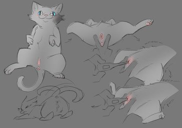 anatomically_correct anatomically_correct_genitalia bestiality female feral fur genitals grey_body grey_fur improvised_sex_toy male male/female size_difference smaller_female solo henrywhy domestic_cat felid feline felis human mammal hi_res