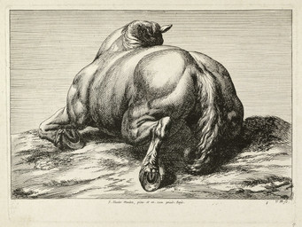 ambiguous_gender butt corpse death feral fur grass hooves horseshoe lying on_front on_ground outside plant rear_view sky solo tail jan_van_huchtenburg public_domain equid equine horse mammal absurd_res ancient_art hi_res