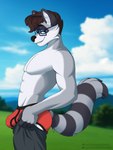 anthro black_seam_briefs black_seam_underwear blue_eyes bottomwear briefs bulge clothing cloud colored_seam_underwear eyewear fur glasses grey_body grey_fur looking_at_viewer male mountain muscular pants red_briefs red_clothing red_underwear sky solo underwear sebtheredpanda tight_pants_(meme) mammal procyonid raccoon hi_res meme