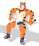 anthro armpit_hair balls barazoku big_penis blue_nipples blue_penis body_hair clothing countershading erection footwear genitals hair humanoid_genitalia humanoid_penis kerchief male mascot muscular nipples pecs penis shoes simple_background sitting smug solo stripes white_background privon frosted_flakes kellogg's tony_the_tiger felid mammal pantherine tiger hi_res