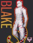 anthro balls blake_(sirnewbie) erection fur genitals male nude penis simple_background solo stripes white_body white_fur arcsuh felid mammal pantherine tiger 2016 absurd_res digital_media_(artwork) hi_res