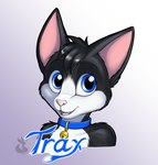 anthro bell bell_collar black_body black_fur blue_eyes collar cute_fangs fur hair male simple_background smile solo white_body white_fur mancoin domestic_cat felid feline felis mammal bust_portrait digital_media_(artwork) hi_res portrait