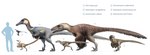 ambiguous_gender beak biped brown_body brown_feathers chart feathers feet feral flying group nude on_one_leg open_mouth sharp_teeth side_view silhouette simple_background size_chart size_difference standing tail tailbutt talons teeth toes white_background fredthedinosaurman cc-by-sa creative_commons austroraptor deinonychus dinosaur dromaeosaurid dromaeosaurus feathered_dinosaur feathered_scalie human mammal microraptor prehistoric_species reptile scalie theropod utahraptor velociraptor 2017 absurd_res digital_media_(artwork) hi_res