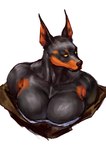 anthro big_breasts black_body black_breasts black_ears black_fur breasts cleavage cleavage_overflow clothed clothed_anthro clothed_female clothing collarbone dark_body dark_breasts dark_ears dark_fur empty_eyes female fur glistening glistening_breasts light_body light_eyebrows light_fur light_inner_ear looking_aside monotone_breasts multicolored_body multicolored_fur off_shoulder orange_body orange_eyeshadow orange_fur orange_inner_ear pointy_ears prick_ears simple_background solo thick_neck topwear two_tone_body two_tone_fur white_background yellow_eyes virgoart canid canine canis dobermann domestic_dog mammal pinscher 2024 absurd_res bust_portrait digital_drawing_(artwork) digital_media_(artwork) hi_res portrait