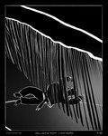 3_toes 5_fingers anthro belt black_background border bottomwear clothing darkness feet fingers floating jacket male pants simple_background solo toes topwear unconscious unconscious_male underwater water sharkinthepark maccaw_(sharkinthepark) avian bird cetacean mammal marine owl whale 2025 absurd_res comic greyscale hi_res monochrome