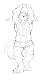 abs anthro clothing male muscular muscular_anthro muscular_male nipples pecs raised_arms simple_background smile solo stretching underwear white_background heylaw21 lifewonders live_a_hero barrel_(live_a_hero) canid canine canis mammal wolf 2023 sketch