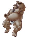 anthro asian_clothing beard belly big_belly brown_body bulge clothing east_asian_clothing facial_hair fundoshi humanoid_hands japanese_clothing kemono male mature_male moobs mustache nipples overweight overweight_male simple_background solo underwear white_background white_clothing white_fundoshi white_underwear kumagaya_shin love_mechanic tom_(lm) bear mammal 2023 hi_res