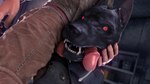 angry anthro armor balls bestiality big_penis bite bodily_fluids cock_and_ball_torture cum dominant dominant_male duo ejaculation erection fangs fellatio feral genital_fluids genital_torture genitals glowing glowing_eyes human_on_feral humanoid_genitalia humanoid_penis interspecies leaking_cum looking_at_viewer male male/male oral penile penis penis_bite red_eyes sex solo_focus teeth obsceneeighteensfm wolfenstein canid canine canis dobermann domestic_dog human kampfhund mammal pinscher 3d_(artwork) absurd_res digital_media_(artwork) hi_res