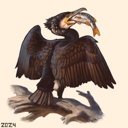 beak black_body black_feathers branch corpse eating eating_food feathers feral fish_in_mouth grey_beak grey_body grey_scales markings on_branch orange_fins scales simple_background solo spread_wings swallowing_whole teal_eyes wings yellow_markings alexpahomov avian bird cormorant great_cormorant suliform 1:1 2024 digital_media_(artwork) digital_painting_(artwork) painting_(artwork)