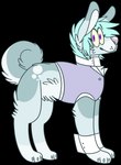 2017 alpha_channel ambiguous_gender blue_claws blue_hair canid canine canis claws clothed clothed_feral clothing curled_tail digital_drawing_(artwork) digital_media_(artwork) digitigrade domestic_dog eyebrows eyelashes feral feral_with_hair flat_colors full-length_portrait fur grey_body grey_fur hair hybrid jaspering lagomorph leporid looking_at_viewer mammal paws portrait purple_clothing purple_eyes purple_nose purple_topwear purple_vest rabbit simple_background smile snout solo standing tail topwear transparent_background vest whisker_spots yellow_sclera