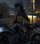 anthro armor biker black_hair black_nose bottomwear city clothed clothing detailed_background female fur gloves grey_body grey_fur hair handwear headgear helmet inner_ear_fluff jacket leaf long_mouth looking_at_viewer midriff motorcycle multicolored_body multicolored_fur navel night outside pants plant shirt solo street_lamp text topwear tree tuft two_tone_body two_tone_fur unzipped vehicle white_body white_fur yellow_eyes zipper lofi canid canine canis domestic_dog husky mammal nordic_sled_dog spitz 2015 absurd_res detailed digital_media_(artwork) digital_painting_(artwork) english_text hi_res painting_(artwork)