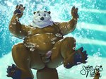 5_toes anthro anus balls belly big_belly black_nose brown_body erection feet genitals male moobs nipples overweight overweight_male penis solo toes underwater water senor_nutria xavier_(rudderbutts) mammal mustelid otter sea_otter 2022 hi_res