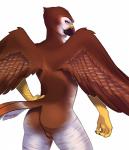 anthro backsack balls beak brown_body brown_feathers butt feathered_wings feathers genitals half-closed_eyes hand_on_hip looking_back male narrowed_eyes nude smile solo standing tail tail_feathers wings yellow_eyes kokidius manik_(manik_rth) accipitrid accipitriform avian bird buteo chickenhawk red-tailed_hawk hi_res