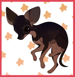 ambiguous_gender big_eyes black_nose border brown_body brown_eyes brown_tail feral glistening glistening_eyes pattern_background red_border simple_background solo star tail three-quarter_view unsigned corzh77 canid canine canis chihuahua domestic_dog mammal toy_dog absurd_res full-length_portrait hi_res portrait