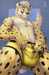 anthro boxer_briefs boxers_(clothing) bulge clothing duo macro male male/male micro underwear vodcat selreini_(character) cheetah domestic_cat felid feline felis mammal 2024 hi_res