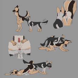 all_fours anal anal_knotting anal_orgasm anal_penetration animal_genitalia animal_penis anthro anthro_on_bottom anthro_on_feral anthro_penetrated ass_to_ass bestiality bodily_fluids butt canine_genitalia canine_penis cum cum_while_penetrated doggystyle drooling duo ejaculation eyes_closed feral feral_on_top feral_penetrating feral_penetrating_anthro feral_penetrating_male from_behind_position fully_sheathed genital_fluids genitals hands-free humping intraspecies intraspecies_bestiality knot_in_sheath knotting licking low-angle_view male male/male male_on_anthro male_on_feral male_penetrated male_penetrating male_penetrating_anthro male_penetrating_male mating_grip one_eye_closed open_mouth open_smile oral orgasm penetration penis precum presenting presenting_hindquarters rear_view reverse_doggystyle rimming saliva saliva_on_anus saliva_on_tongue sex sheath side_view smile tail tail_motion tailwag tongue tongue_out worm's-eye_view omniferret canid canine canis domestic_dog german_shepherd herding_dog mammal pastoral_dog 1:1 absurd_res hi_res