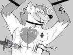 anthro bdsm bed blood bodily_fluids bondage bound collar cross cum fangs furniture genital_fluids gore inverted_cross knife male queen_of_spades_symbol sabertooth_(anatomy) solo stab submissive submissive_male teeth helelos_(artist) gnull_(character) hyena mammal 4:3 monochrome