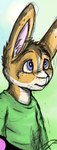 anthro blue_eyes clothed clothing fur green_clothing green_topwear head_tuft looking_up male mouth_closed orange_body orange_ears orange_fur pink_inner_ear solo topwear tuft white_body white_fur young young_anthro young_male bucklebunny lagomorph leporid mammal rabbit colored_sketch sketch