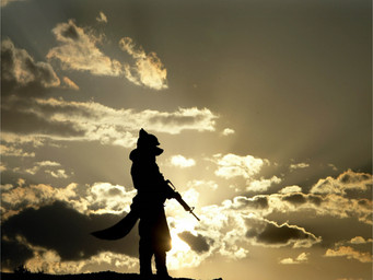 anthro black_body gun male military photo_background ranged_weapon realistic shadow silhouette soldier solo sunset warrior weapon koosh-ball canid canine canis domestic_dog mammal 4:3 detailed digital_media_(artwork) hi_res mixed_media photography_(artwork) warm_colors