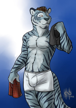 anthro blue_body blue_fur brown_eyes brown_hair bulge clothed clothing detailed_bulge front_view fur genital_outline glistening glistening_eyes hair holding_clothing holding_object holding_underwear male male_anthro markings mouth_closed penis_outline short_hair slim_anthro slim_male solo standing striped_arms striped_body striped_fur striped_markings striped_tail stripes tail tail_markings topless underwear whiskers hufnaar felid mammal pantherine tiger 2014 absurd_res hi_res portrait three-quarter_portrait