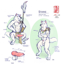 animal_genitalia animal_penis anthro armor balls bottomwear bracers canine_genitalia canine_penis clothing erection fur genitals jewelry knot knotted_penis loincloth male melee_weapon muscular necklace nude penis polearm solo spear standing tail tattoo text weapon white_body white_fur fennec_(artist) starke_(artalds) arctic_wolf canid canine canis mammal wolf english_text model_sheet sketch_page