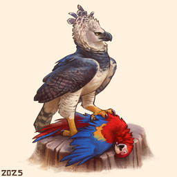 black_claws blue_body blue_feathers claws corpse death duo feathers feet feral fur grey_body grey_feathers grey_markings grey_wings head_tuft markings multicolored_body multicolored_fur on_stump red_body red_feathers simple_background standing_on_corpse tree_stump tuft white_background white_body white_facial_markings white_feathers wings yellow_body yellow_feathers yellow_feet yellow_legs yellow_talons alexpahomov accipitrid accipitriform ara_(genus) avian bird eagle harpy_eagle macaw neotropical_parrot parrot scarlet_macaw true_parrot 1:1 2025 hi_res
