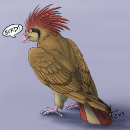 ambiguous_gender beak dialogue feathered_wings feathers feet feral looking_back realistic simple_background solo speech_bubble standing tail tail_feathers talons text toes wings captaincougar nintendo pokemon avian bird generation_1_pokemon pidgeotto pokemon_(species) 1:1 2013 english_text signature