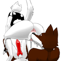 animal_genitalia animal_penis anthro anus big_butt big_penis biped bodily_fluids butt canine_genitalia canine_penis clothing crouching cunnilingus dripping duo erection facesitting female genital_fluids genitals jacket knot leather leather_clothing leather_jacket leather_topwear male male/female oral penis raised_tail sex sheath sitting sitting_on_another tail thick_thighs tongue tongue_out topwear vaginal vaginal_fluid_drip vaginal_fluids vulva realius canid canine canis domestic_cat domestic_dog felid feline felis mammal hi_res