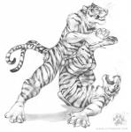 balls blotch claws cum cumshot erection eyes_closed feline gay greyscale hindpaw legs_up lying male mammal monochrome nude on_back open_mouth orgasm pawpads paws penis plain_background sheath stripes tiger whiskers white_background
Rating: Explicit
Score: 10
User: Vinea
Date: April 22, 2014