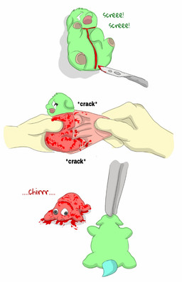 abuse ambiguous_feral ambiguous_gender animal_abuse animal_noises black_eyes blood bodily_fluids chirping cruelty crying dialogue disembodied_hand duo eyes_closed feral flayed forceps fur gore green_body green_fur holding_another hooves lying medical_instrument monotone_body monotone_fur neonate on_back on_front open_mouth pain pained_expression scalpel scientific_instrument simple_background skinless skinning slit_(wound) solo_focus suffering surgical_instrument tears text torture tweezers white_background young young_ambiguous young_feral carpdime fluffy_pony fluffy_pony_(species) mammal english_text hi_res sequence