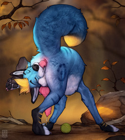 4_toes anal anal_masturbation animal_genitalia animal_penis anus autorimming ball balls blonde_hair blue_body blue_fur blue_tail butt canine_genitalia canine_penis claws contortionism erection eyes_closed feet feral finger_claws flexible fur genitals hair knot knotted_penis male male_feral masturbation oral oral_masturbation outside pawpads paws penis quadruped raised_tail rear_view rimming sex solo standing tail teeth tennis_ball toe_claws toes tongue anchee canid canine fox mammal 2025 digital_media_(artwork) hi_res watermark