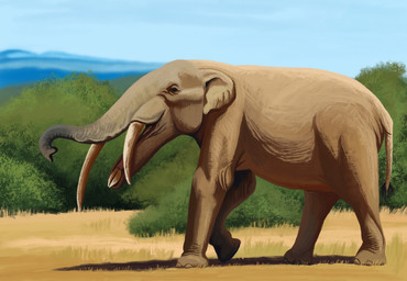 ambiguous_gender feral grass grey_body grey_skin nature nightmare_fuel outside plant proboscis_(anatomy) quadruped shrub solo trunk_(anatomy) tusks walking wrinkles agustindiazart gomphotherium mammal proboscidean 2022 hi_res