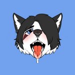 ahegao anthro black_body black_eyeshadow black_fur black_hair blue_eyes bodily_fluids drooling emo_haircut eyeshadow facial_piercing fangs fur hair looking_pleasured makeup male nose_piercing piercing saliva solo teeth tongue tongue_out white_body white_fur pepperpkmon88 rivey_ravenheart canid canine canis domestic_dog husky mammal nordic_sled_dog spitz 1:1 hi_res