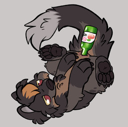 alcohol alcohol_enema ambiguous_gender anal anal_penetration anthro anus beverage bottle bottle_in_ass bottle_insertion butt container dipstick_tail enema hair improvised_sex_toy markings object_in_ass penetration solo tail tail_markings kaiizree korwin hi_res