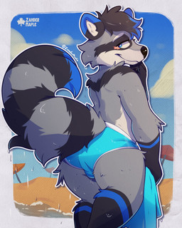 anthro beach biped blue_briefs blue_clothing blue_markings blue_underwear briefs briefs_only bulge bulge_from_behind clothed clothing colored_seam_briefs colored_seam_underwear eye_scar facial_scar grey_body looking_back male male_anthro markings rear_view ring_(marking) ringed_tail scar sea seaside solo speedo striped_markings striped_tail stripes swimming_in_underwear swimwear tail tail_markings topless towel underwear underwear_only water wet wet_clothing wet_underwear zandermaple mavvy_(divided-raccoon) mammal procyonid raccoon hi_res