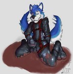 bdsm blue_body blue_fur bulge fur gimp_suit harness latex leather male mud petplay roleplay solo toggle_(artist) gimic_(drakehusky) canid canine canis domestic_dog husky mammal nordic_sled_dog spitz 2022 artist_name digital_media_(artwork) watermark