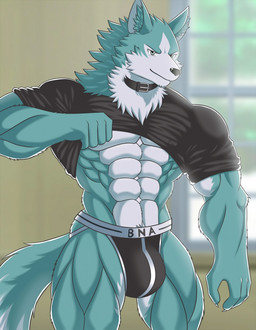 abs anthro big_bulge blue_body blue_fur bulge clothing collar fur jockstrap male muscular muscular_anthro muscular_male solo underwear white-snow-wolf brand_new_animal studio_trigger shirou_ogami canid canine canis mammal wolf hi_res