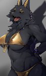 anthro bikini black_body black_fur black_sclera bodily_fluids breasts clothed clothing egyptian female front_view fur gold_bikini kemono looking_at_viewer midriff navel nipple_outline open_mouth skimpy solo sweat sweatdrop swimwear teeth two-piece_swimsuit yellow_eyes yellow_teeth pyoin unnamed_jackal_(pyoin) anubian_jackal canid canine canis jackal mammal hi_res