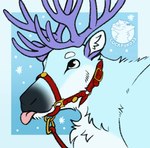 bell bell_harness female gift harness holidays jingle_bell jingle_bell_harness male silly luckfoxo33 spraykitty christmas chase97_(character) deer mammal new_world_deer reindeer pink animated hi_res short_playtime