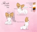 black_nose feral fur monotone_tail open_mouth solo speech_bubble tail text white_body white_fur white_tail dirtywater flossie_(dirtywater) canid canine canis domestic_dog mammal papillon toy_dog 2020 english_text french_text hi_res model_sheet translated