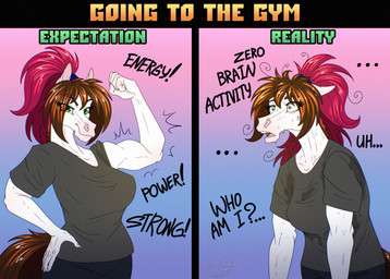 anthro bodily_fluids energy exercise exhausted expectation female fitness gym humor muscular reality relatable silly sweat the_truth tired workout sunny_way expectation_vs_reality mood sunny_way_(character) equid equine horse mammal comic hi_res meme