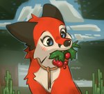 ambiguous_gender berry blue_eyes daww feral food food_in_mouth fruit fur holding_food holding_in_mouth holding_object mouth_closed orange_body orange_fur outside plant solo white_body white_fur hyilpi microsoft minecraft mojang xbox_game_studios vixy_(hyilpi) canid canine fox fox_(minecraft) mammal red_fox true_fox 2022 artist_name digital_media_(artwork) hi_res shaded female_(lore)