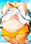 anthro antlers beach belly blue_eyes blush bottomwear brown_body brown_fur bulge clothed clothing clothing_lift fur hat headgear headwear horn male moobs navel overweight overweight_male seaside shirt shirt_lift shorts smile solo straw_hat topwear inuiookawa tamacolle kazusa deer mammal hi_res