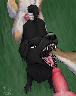 anatomically_correct anatomically_correct_genitalia anatomically_correct_penis animal_genitalia animal_penis anthro anthro_on_feral begging bestiality canine_genitalia canine_penis erection fellatio_gesture feral feral_penetrated genitals gesture grass group imminent_oral knot knotted_penis knotting male male/male mouth_hold mouth_shot open_mouth penetration penis plant sex suggestive suggestive_gesture tail tail_grab teeth tongue trio stinkycoyote canid canine canis domestic_dog mammal absurd_res hi_res