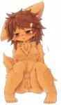 anthro blush breasts brown_body brown_fur brown_hair canid canine canis domestic_dog female fur genitals hair kemono mammal nipples open_mouth pussy simple_background solo wahitouppe white_background