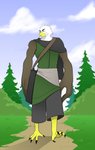 anthro archer bounty_hunter fantasy male ranger solo hayakain war-bird aaron_(war-bird) accipitrid accipitriform avian bald_eagle bird eagle sea_eagle absurd_res hi_res