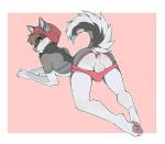 anthro anus balls brown_hair butt clothing fur genitals grey_body grey_fur hair male mostly_nude panties perineum solo underwear white_body white_fur zurezuredesigns poleon canid canine canis domestic_dog husky mammal nordic_sled_dog spitz