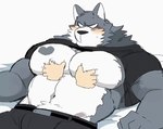 2021 2d_animation ambiguous_gender animated anthro blush canid canine canis chest_grab chest_tattoo clothed clothing disembodied_hand duo frame_by_frame fur fur_markings hyaku_(artist) loop male male/ambiguous male_focus mammal markings muscular muscular_anthro muscular_male pec_grab pecs raised_clothing raised_shirt raised_topwear rubbing_chest shirt short_playtime solo_focus tattoo topwear wolf