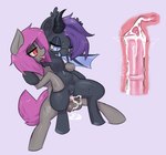 anal anal_penetration animal_genitalia animal_penis animal_pussy anus balls blush blush_lines bodily_fluids cum cum_in_ass cum_inside cum_pool cum_string cutaway duo ear_tuft ejaculation equine_genitalia equine_penis equine_pussy eyewear fauxhawk female feral genital_fluids genitals glasses happy happy_sex horn male male/female nude on_bottom on_top penetration penis pussy reverse_cowgirl_position sex sweat sweatdrop tongue tongue_out tuft wing_boner wings x-ray_view fluorite hasbro my_little_pony bat_pony earth_pony equid equine horse mammal pony absurd_res hi_res